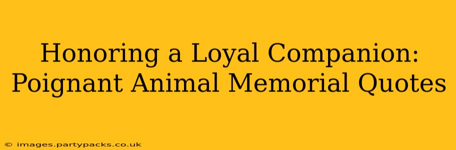 Honoring a Loyal Companion: Poignant Animal Memorial Quotes