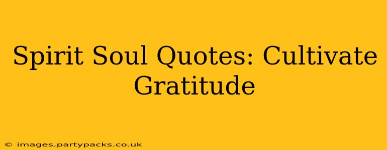 Spirit Soul Quotes: Cultivate Gratitude