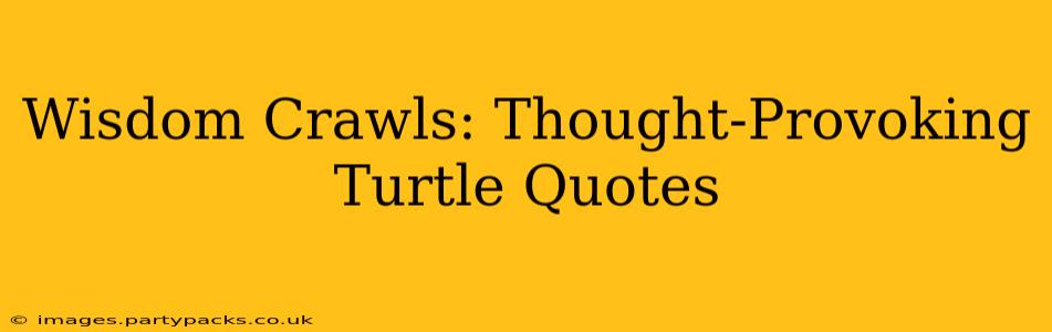 Wisdom Crawls: Thought-Provoking Turtle Quotes